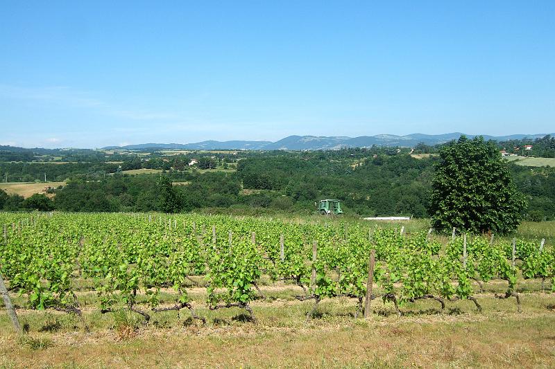 2011-05- (280).JPG